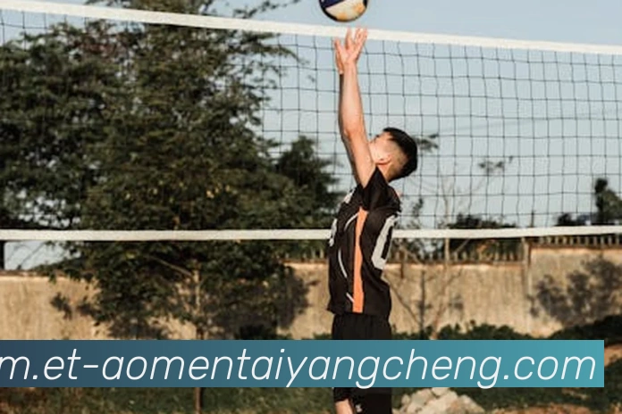 太阳城网站平台生态图