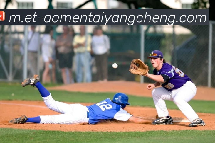 太阳城网站APP 封面图